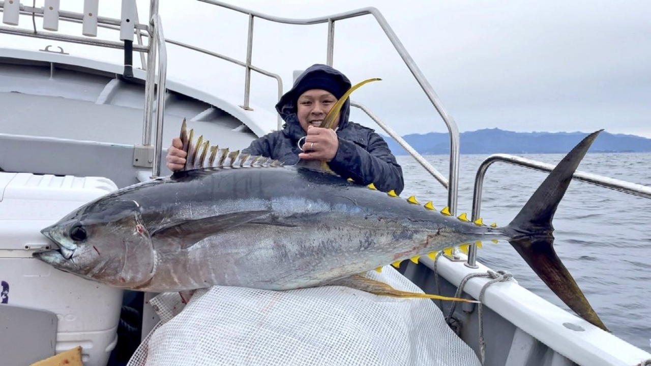 もりきゅ さんの 2022年01月30日のキハダマグロの釣り・釣果情報(串本) - アングラーズ | 釣果500万件の魚釣り情報サイト