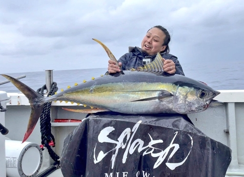 キハダマグロの釣果