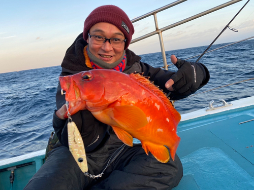 アカハタの釣果