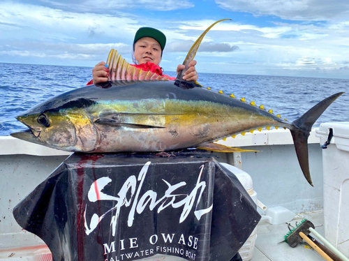 キハダマグロの釣果