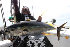 キハダマグロの釣果