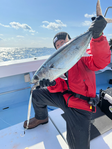 ビンチョウマグロの釣果