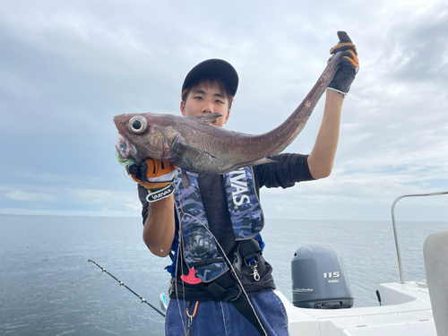 テナガダラの釣果