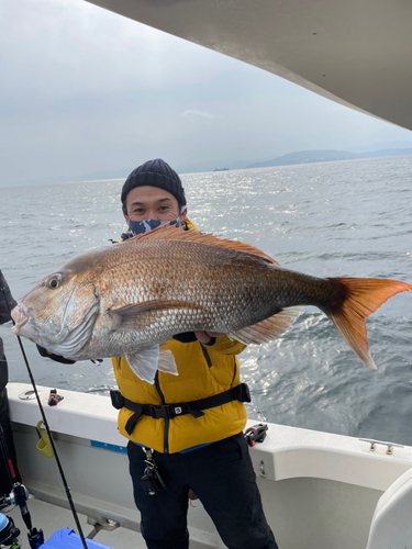 マダイの釣果