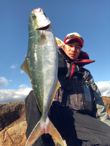 ハマチの釣果