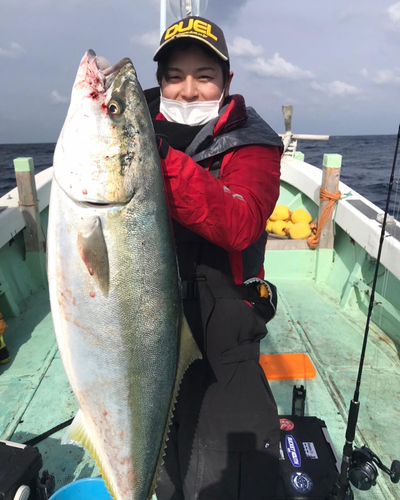 ブリの釣果