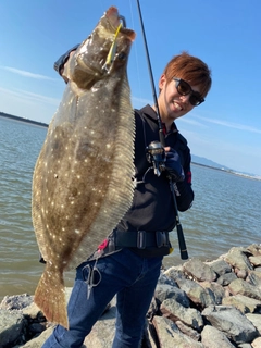 ヒラメの釣果