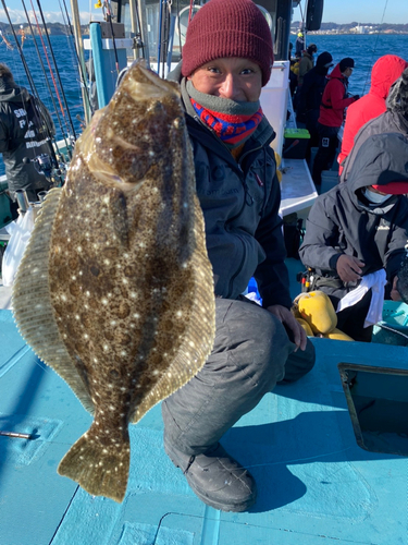 ヒラメの釣果