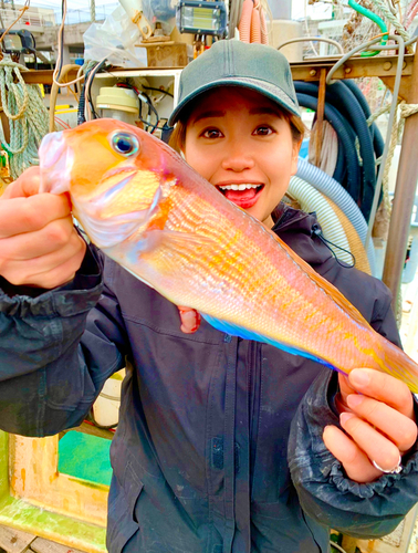 アマダイの釣果