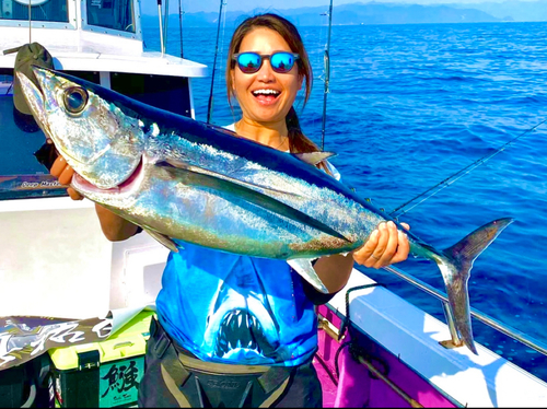 ビンチョウマグロの釣果