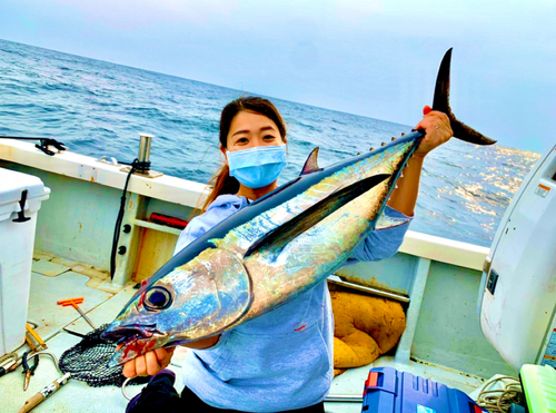 ビンチョウマグロの釣果