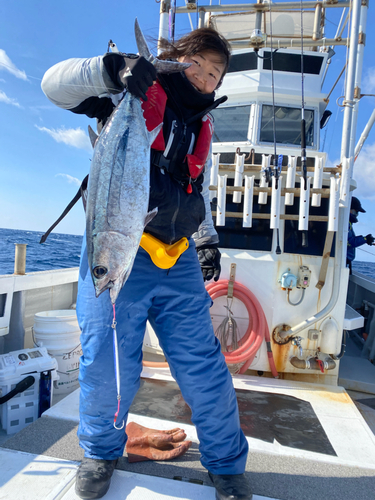 ビンナガの釣果