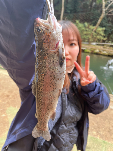 ニジマスの釣果