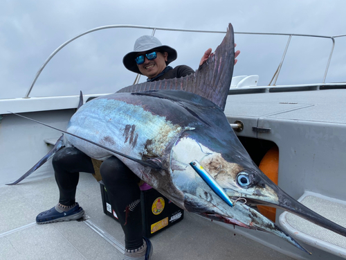 クロカジキの釣果