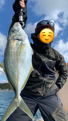 シマアジの釣果