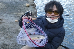 トラウトの釣果