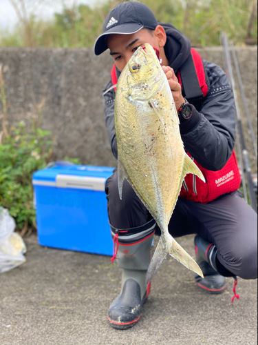 オニヒラアジの釣果