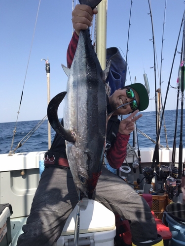 ビンチョウマグロの釣果