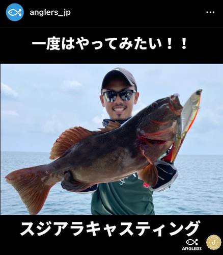 スジアラの釣果