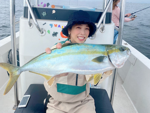 イナダの釣果