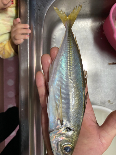 釣果