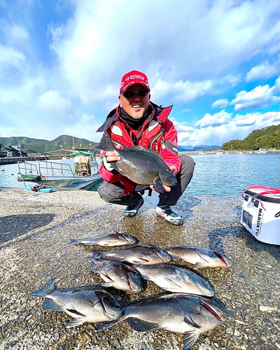 グレの釣果