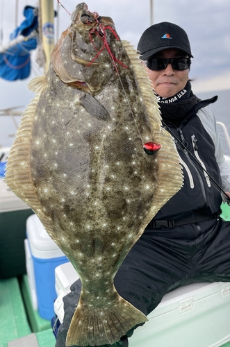 ヒラメの釣果