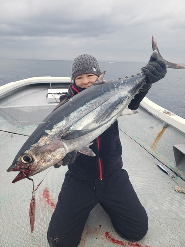 ビンチョウマグロの釣果