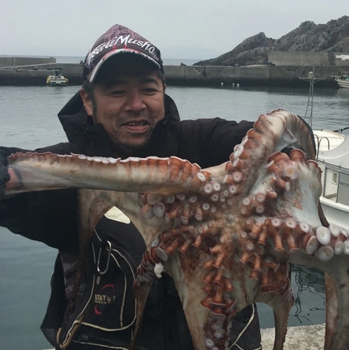 タコの釣果