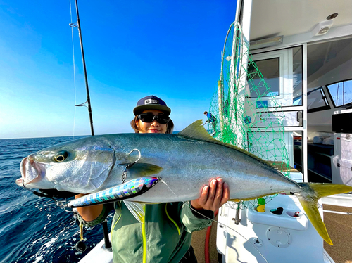 ヒラマサの釣果