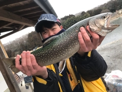 イワナの釣果