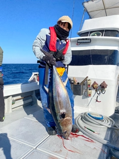 ビンナガの釣果