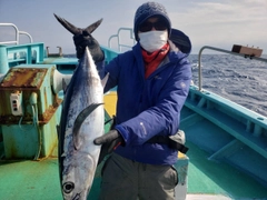 ビンチョウマグロの釣果