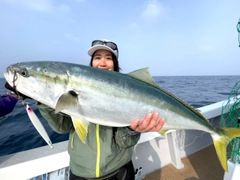 ブリの釣果