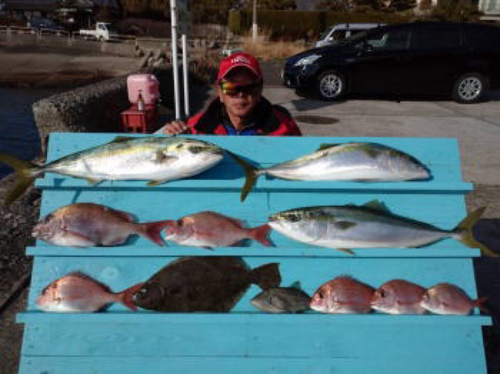 マダイの釣果