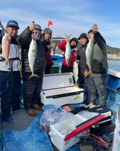 ブリの釣果