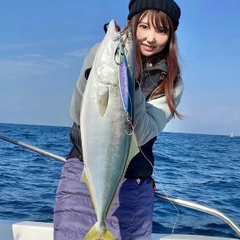 メジロの釣果