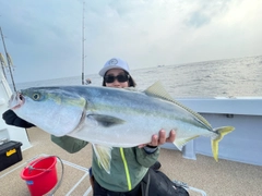 ブリの釣果