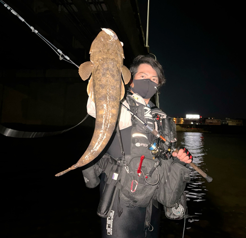 マゴチの釣果