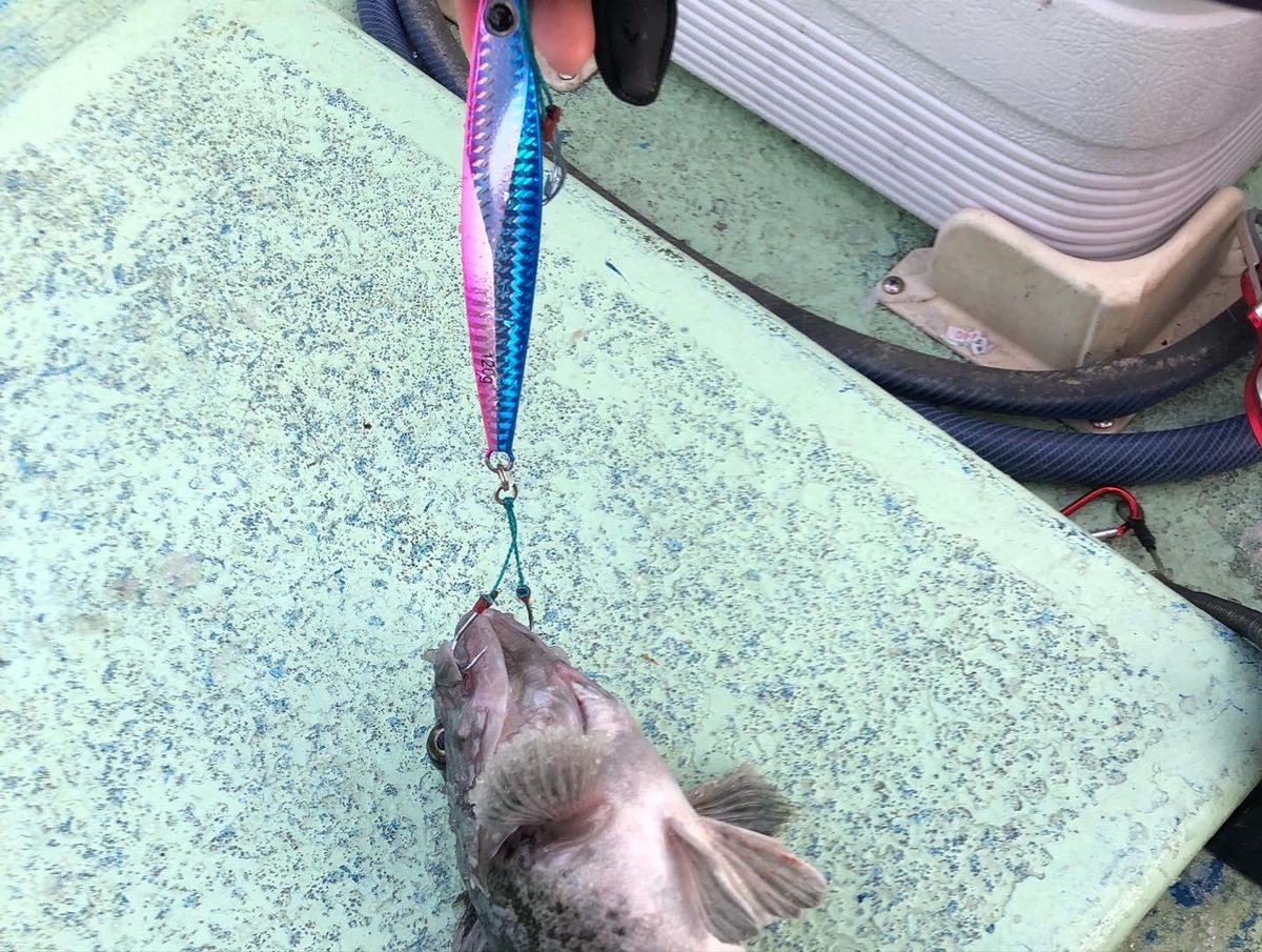 ゆきえさんの釣果 2枚目の画像