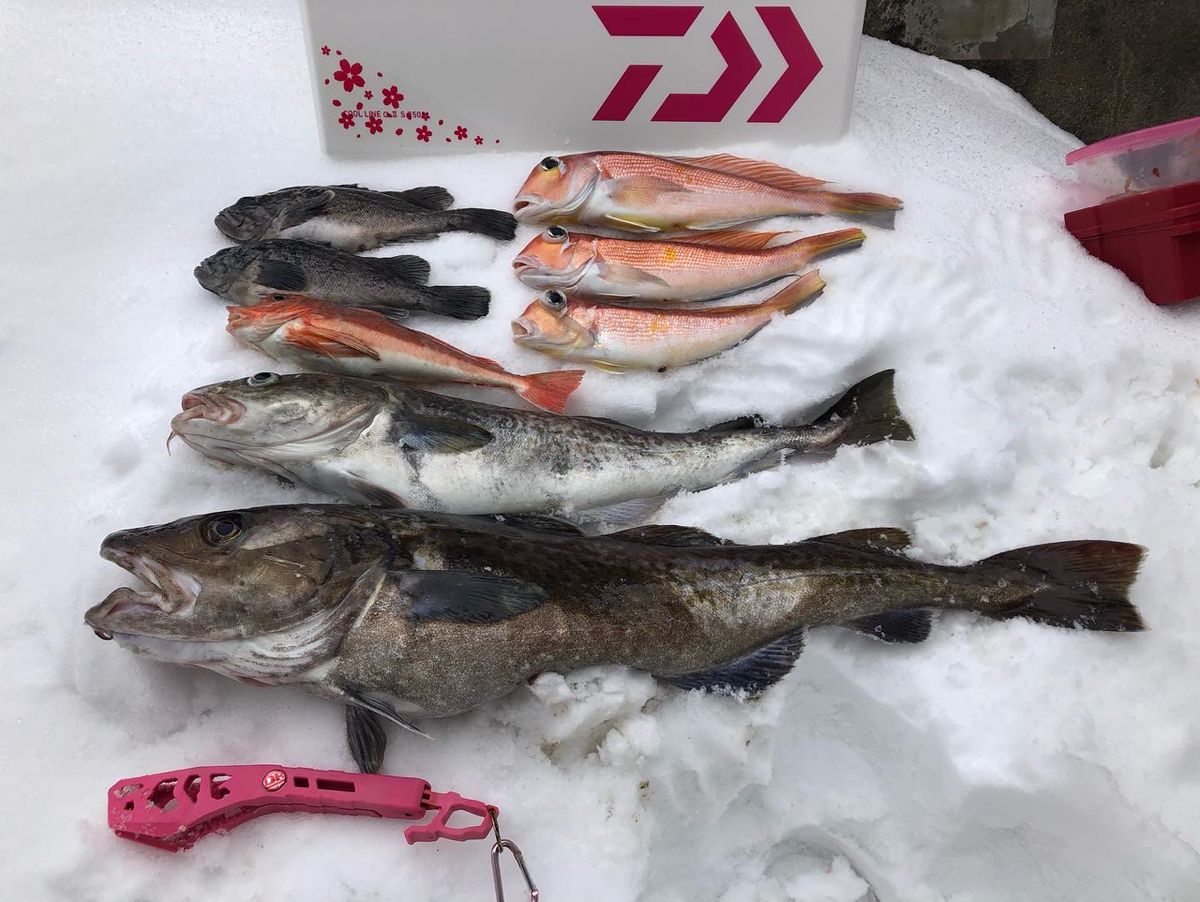 ゆきえさんの釣果 3枚目の画像