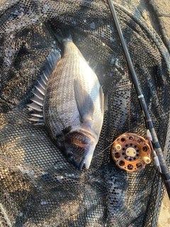 釣果