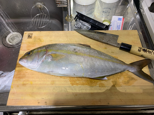 釣果