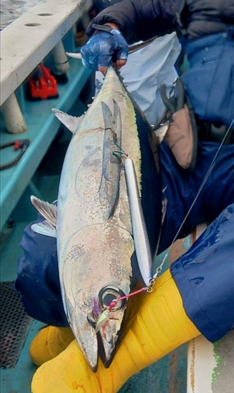 ブラウン鈴木さんの釣果 2枚目の画像