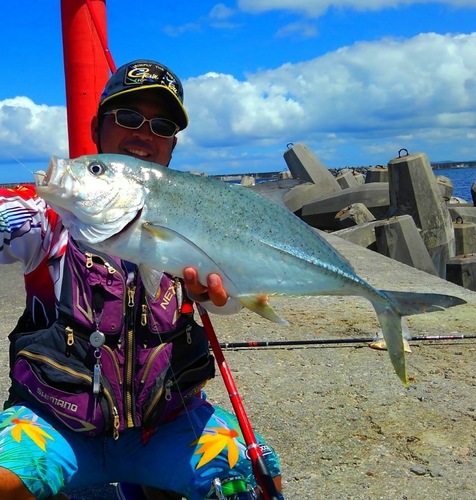 オニヒラアジの釣果