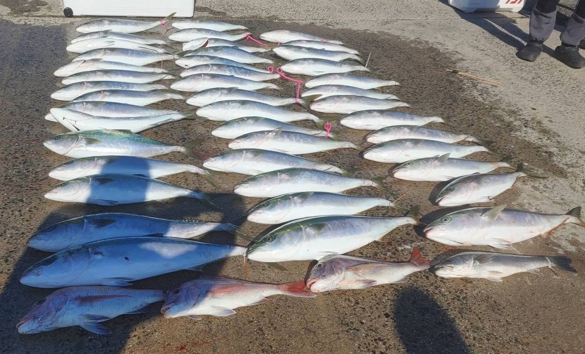 りょうりかさんの釣果 3枚目の画像