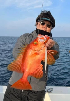 チカメキントキの釣果