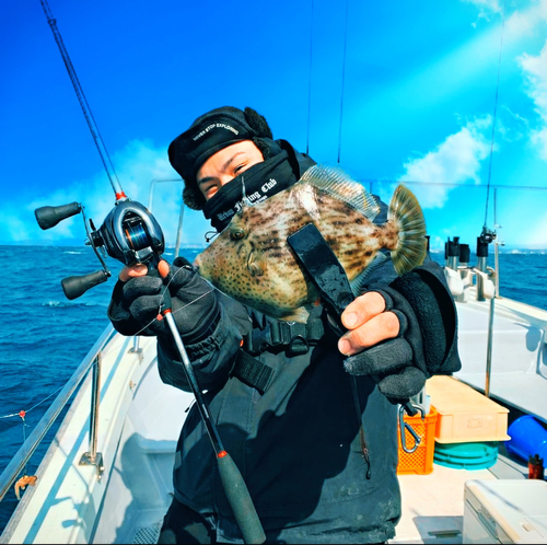 カワハギの釣果