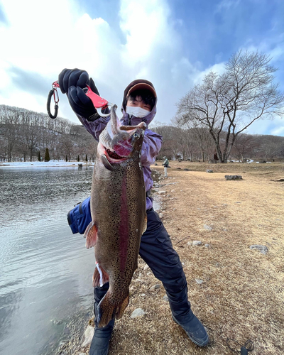 ニジマスの釣果