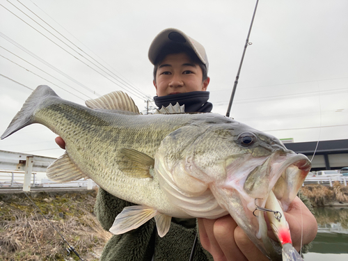 ブラックバスの釣果